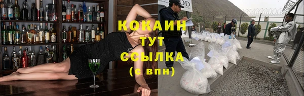 соль ск Лагань