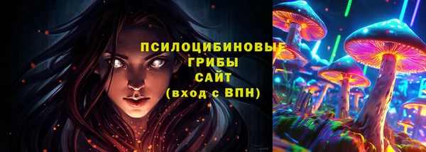 соль ск Лагань