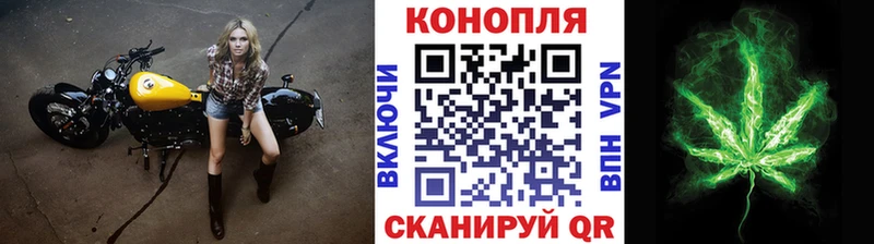 Шишки марихуана планчик  Купить где  Дрезна 